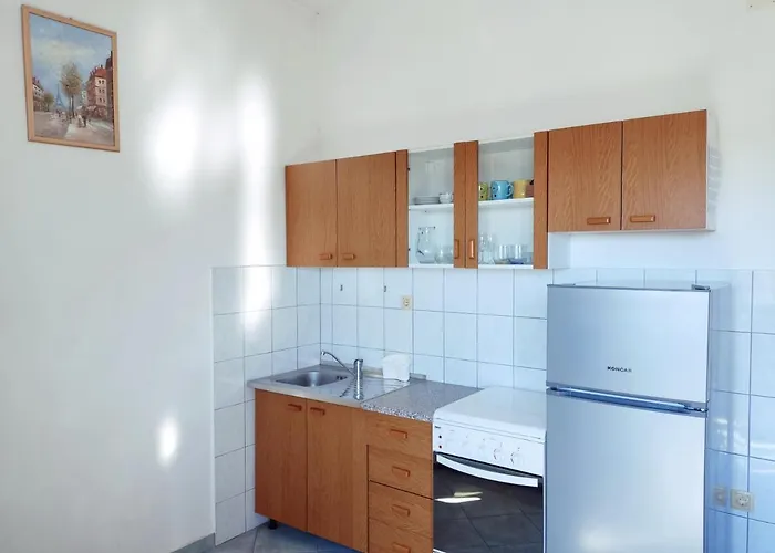 Studio Apartment 罗戈兹尼察