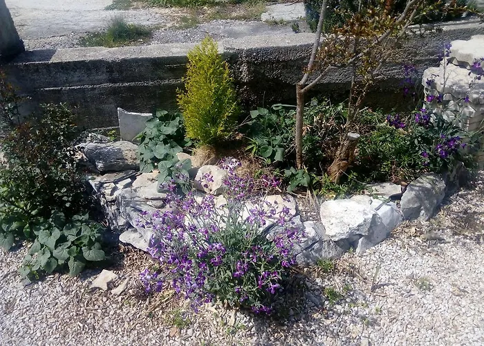 公寓 Studio Apartment