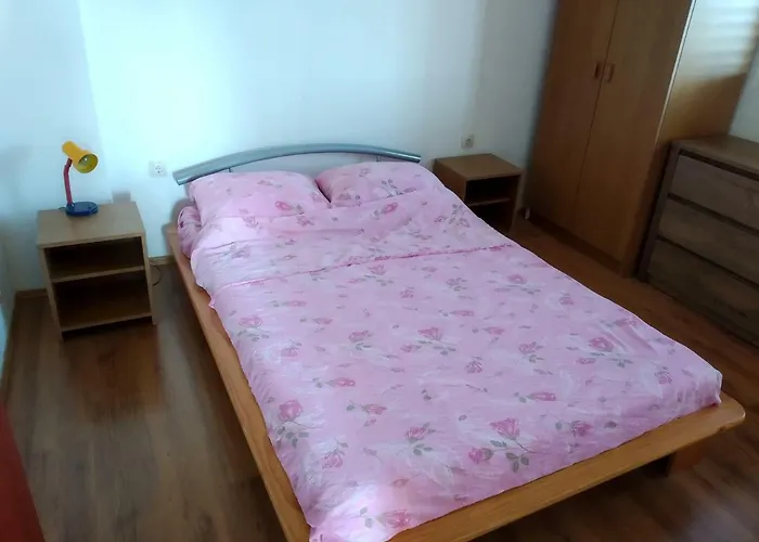 Studio Apartment 公寓 罗戈兹尼察